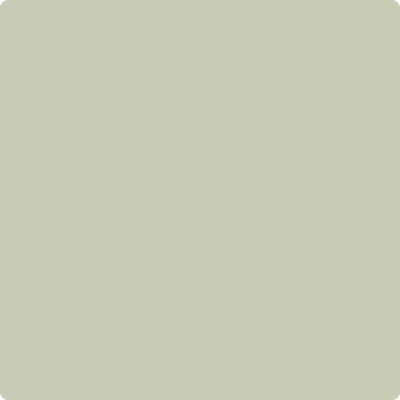 2144-40 Soft Fern