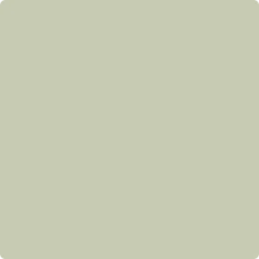2144-40 Soft Fern