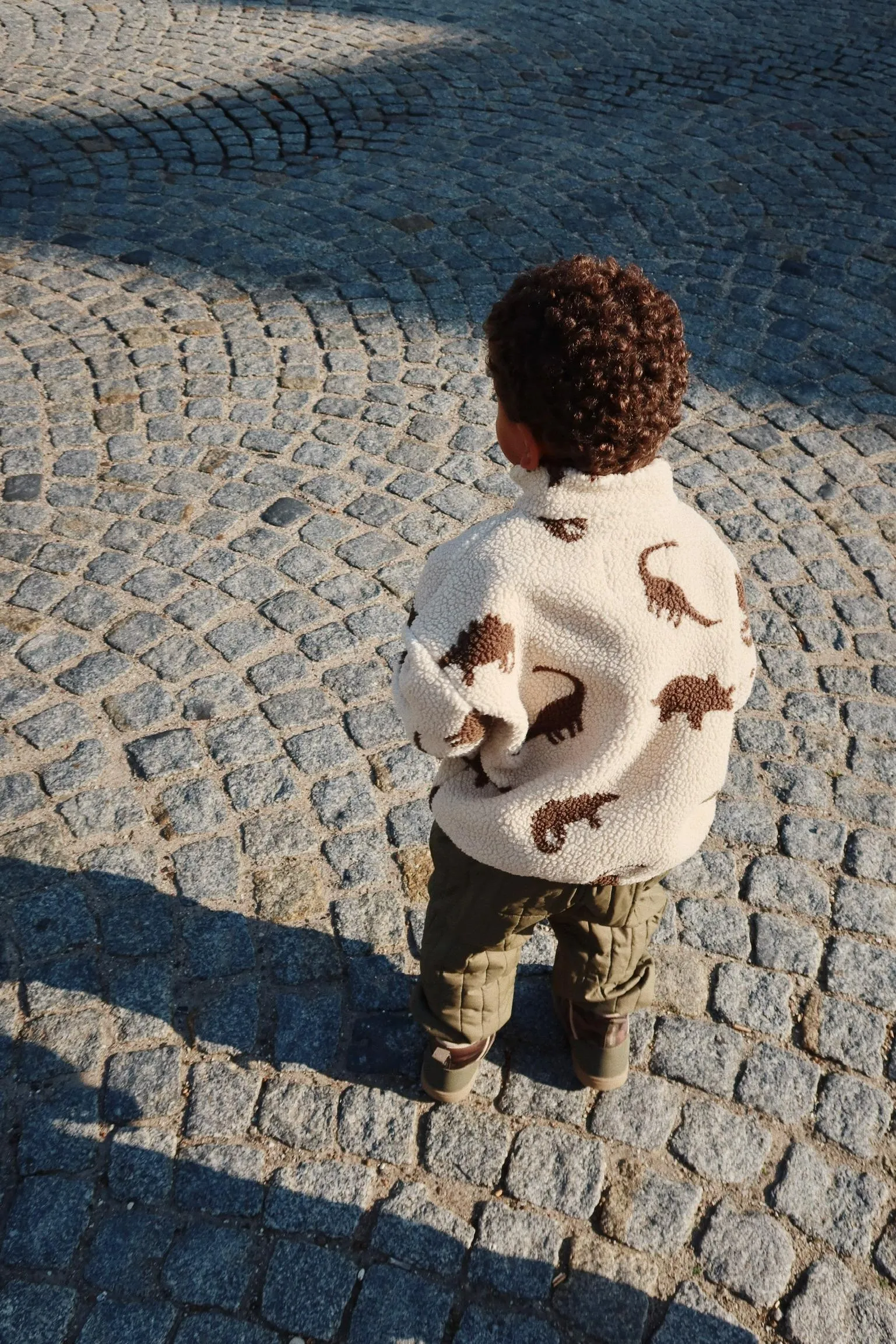Jody Teddy Jacket- Dino Silhouette